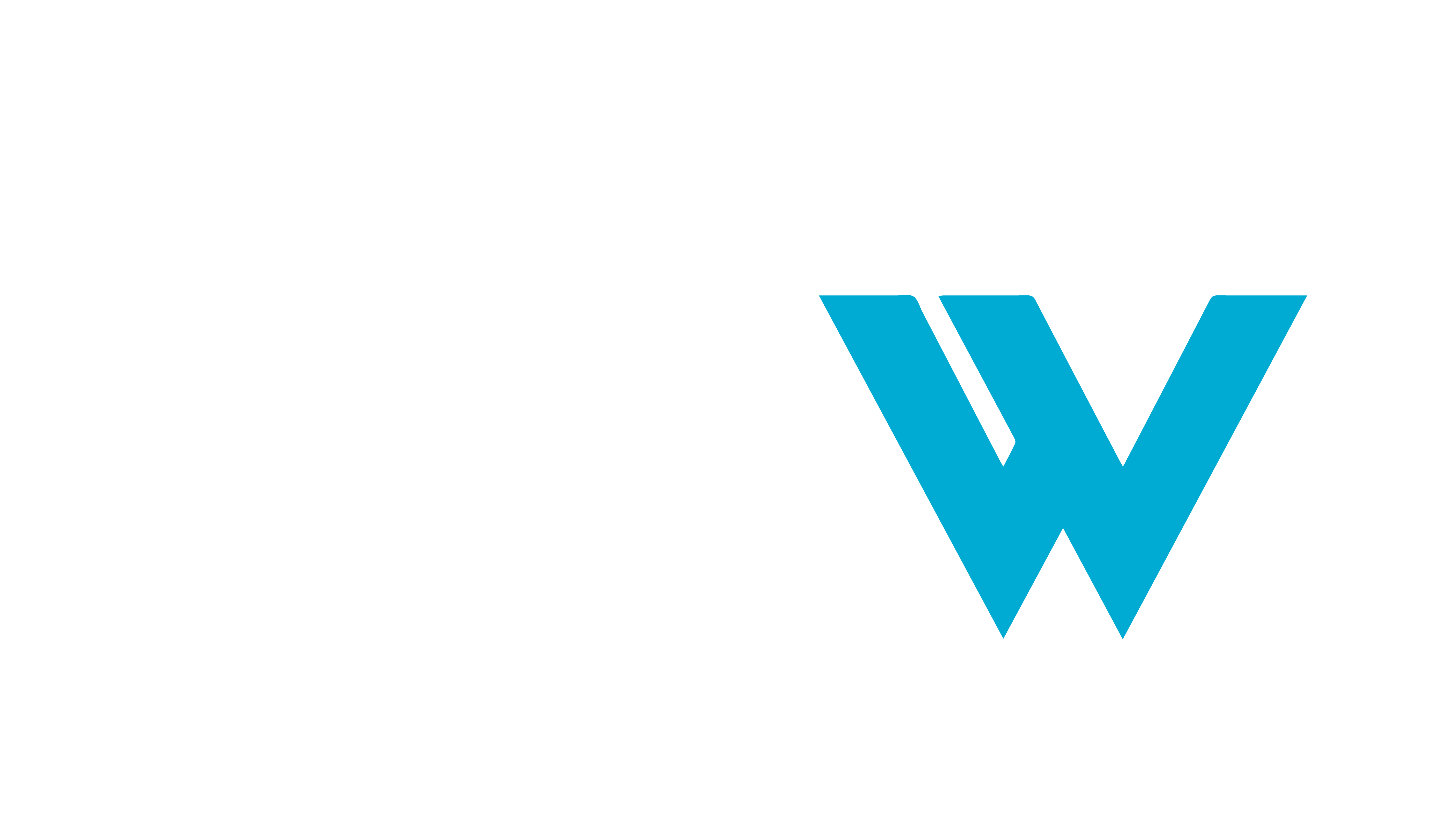 Mobility Flow